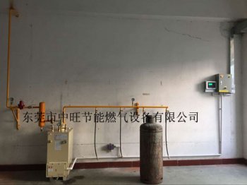 100KG气化器配80万大卡燃烧